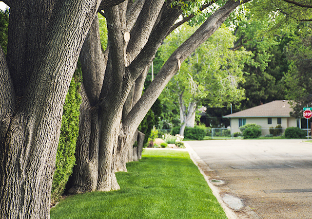 Bay Area Lawn Care